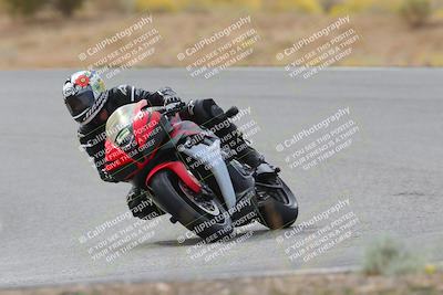 media/Nov-04-2023-2WTD (Sat) [[147bbb9217]]/B Group/1220pm (Outside Turn 2)/